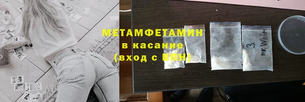 прущие грибы Богородск
