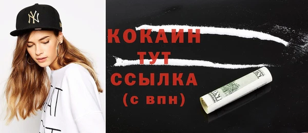 прущие грибы Богородск