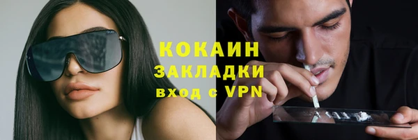 прущие грибы Богородск