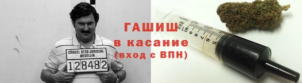 прущие грибы Богородск