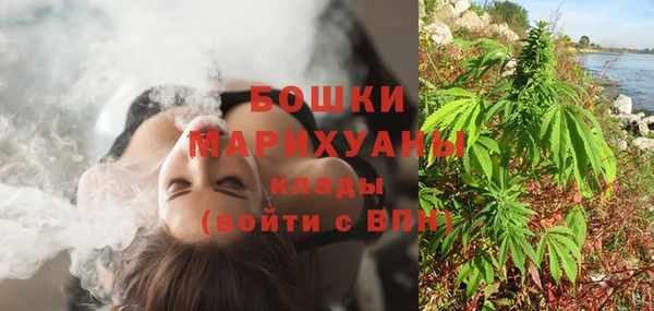 прущие грибы Богородск