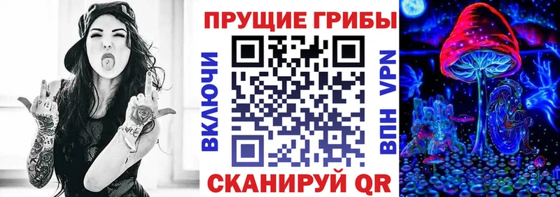 Псилоцибиновые грибы Psilocybine cubensis  Уварово 